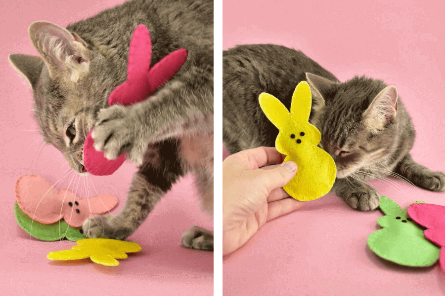 Brinquedos da Páscoa em forma de Coelhinho com Erva-dos-gatos